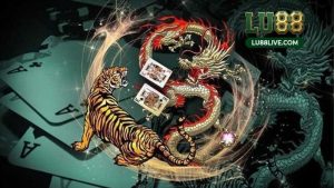 Rồng Hổ Live