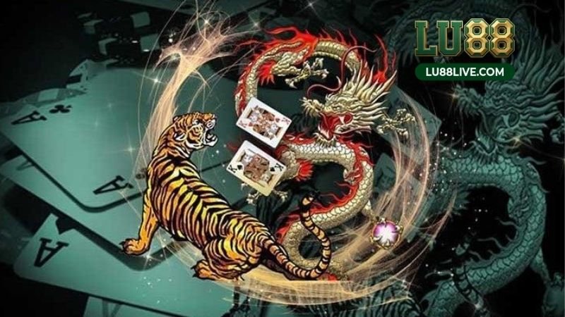 Rồng Hổ Live